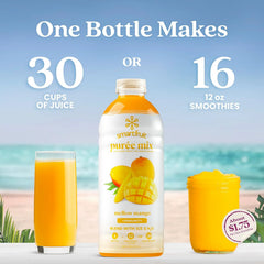 Smartfruit Mellow Mango + Immunity – 100% Real Fruit Purée w/Mango, Banana, Apple, Pineapple – Great for Smoothies, Juice, Yogurt, Cocktails, Tea – High in Vitamin C, Selenium, Zinc – 2-Pk, 48oz Each