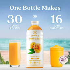 Smartfruit Perfect Peach + Energy – 100% Real Fruit Purée with Peach, Apple & Pineapple – Great for Smoothies, Juice, Yogurt, Cocktails, Teas – High in Niacin & Vitamin A, B6, B12 – 2-Pk, 48oz Each