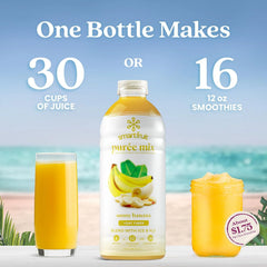 Smartfruit Sunny Banana + Oat Fiber – 100% Real Fruit Purée with Banana, Apple & Pineapple – Great for Smoothies, Juice, Yogurt, Cocktails, Teas & More – High in Vitamin A – 2-Pk, 48oz Each