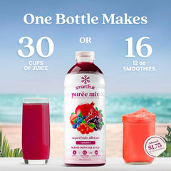 Smartfruit Superfruit All-Stars + Energy – 100% Real Fruit Purée with Blueberry, Pomegranate, Acai & Goji Berries – Great for Smoothies, Juice, Yogurt, Cocktails, Teas & More – 48oz
