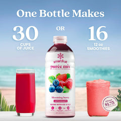 Smartfruit Blooming Berry + Antioxidants – 100% Real Fruit Purée with Strawberries, Blueberries, Raspberries – Great for Smoothies, Juice, Yogurt, Cocktails, Teas – High in Vitamin A & C – 2-Pk, 48oz Each